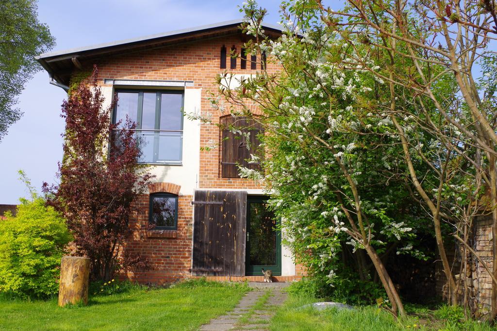 Haus Am See In Kleinzerlang Ruang foto