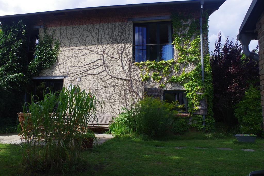 Haus Am See In Kleinzerlang Bagian luar foto